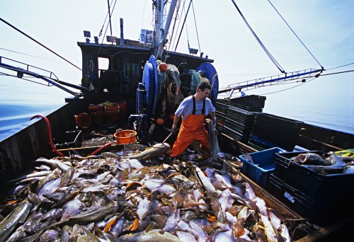 economiadelmare